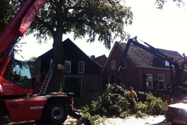 bomen rooien Bingelrade